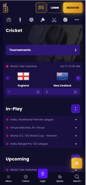 Sports betting India example cricket odds BiggerZ