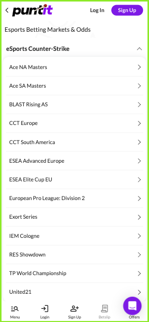 Puntit CS2 betting options