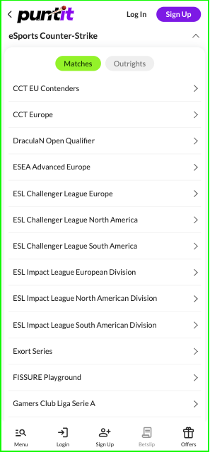 Puntit CS2 betting options