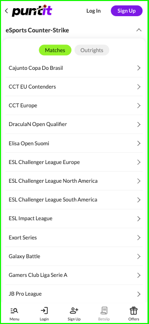 Puntit CS2 Betting Options