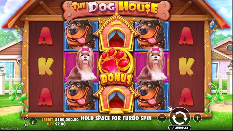 The Dog House Screenshot
