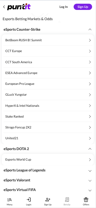 Puntit CS2 esports betting odds